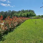 Forest فيلة *